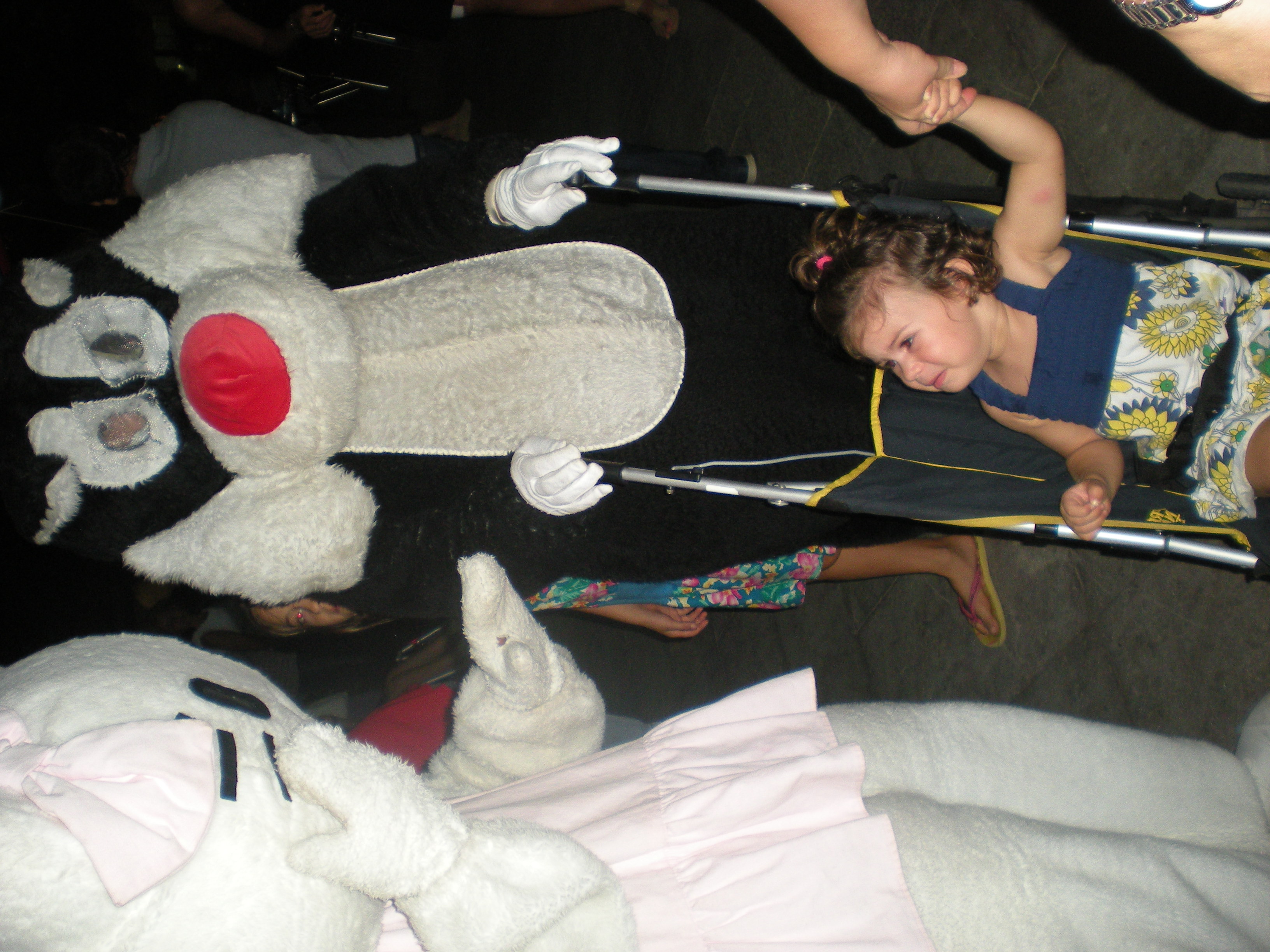 DSCN6162.JPG